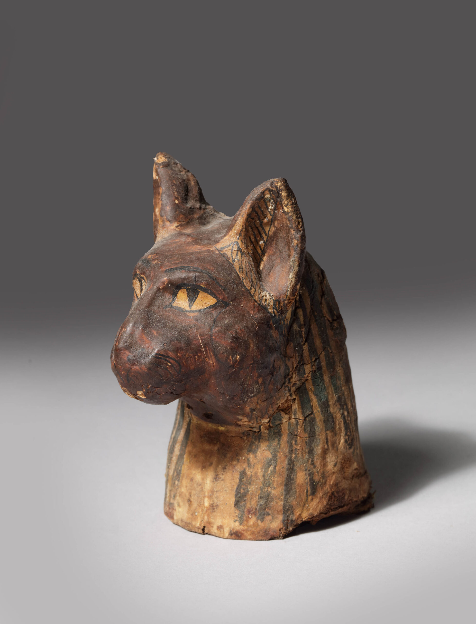 SMALL DARK BROWN CARTONNAGE MUMMY MASK OF A CAT - Image 3