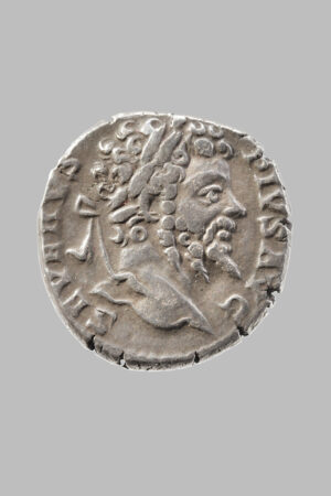 SEPTIMIVS SEVERVS (193-211 AD), DEN. ROME, 201 AD